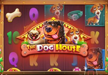 Microgaming - игровой автомат онлайн от Various с RTP 95.52%